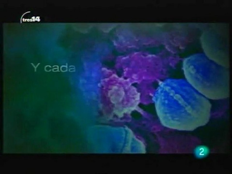 Helicobacter pylori: Ulcera de estomago