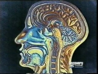 Robert Ader: Psiconeuroinmunología