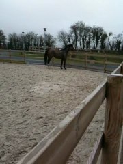 magnifique de gouy 18/01/2010