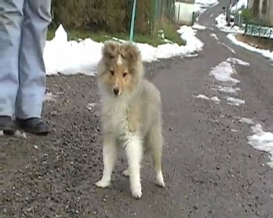 Silver le 18-01-10