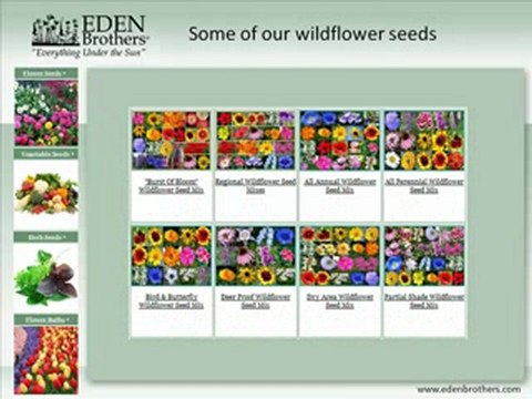 Eden Brothers - Huge Sale On Seeds & Flower Bulbs