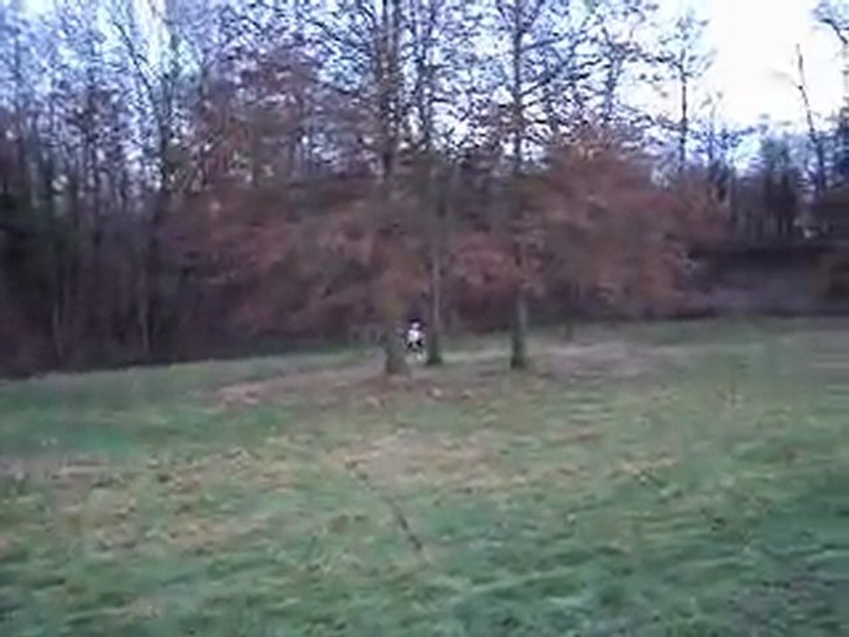 MOV00123
