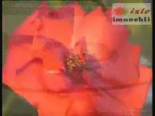 hasan dursun--muhammedin yaerenleri