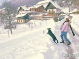 Yugoslavian Mountain Hound Jumping | Canon 7D Slow Motion