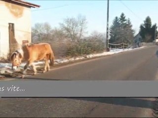 Idem : évolution de son arthrose (hanches)