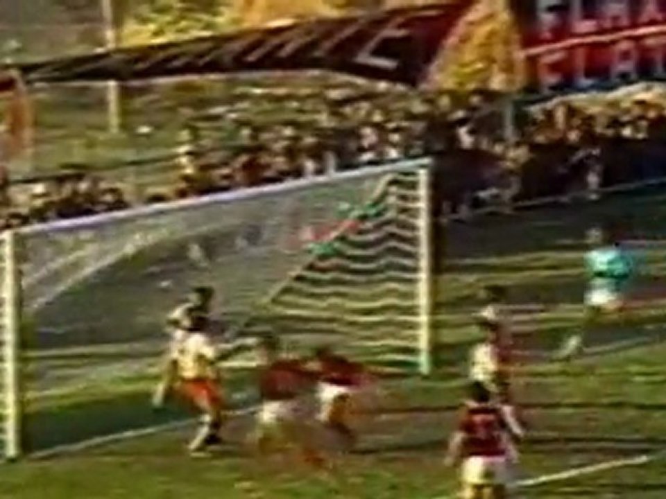 Zico 2 di 8