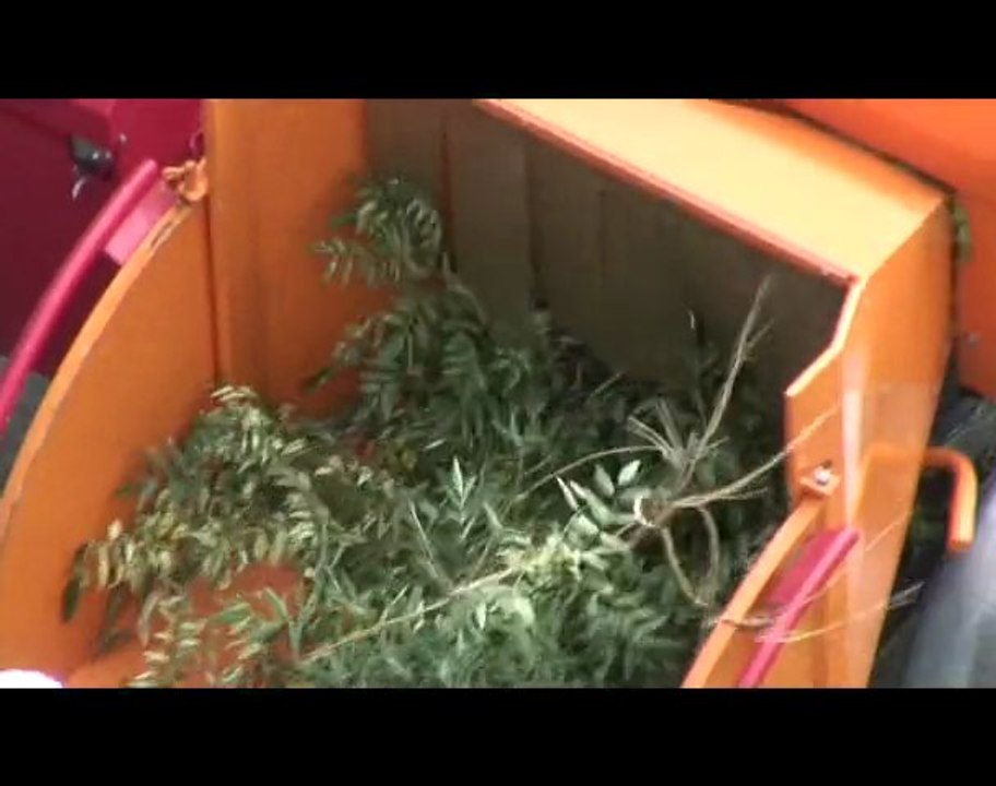 Massacre à la tronçonneuse