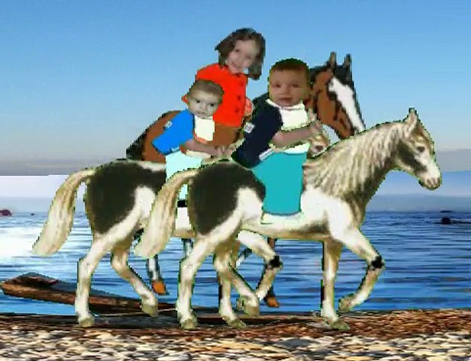 Les chevaux