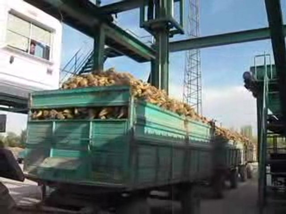 fireniz düşük polarınız yüksek olsun
