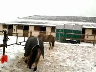 Poupoune, dans la neige !!