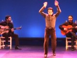 Festival de Flamenco Nîmes: Irresistible Javier Barõn