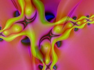 insights into a parallel universe 7