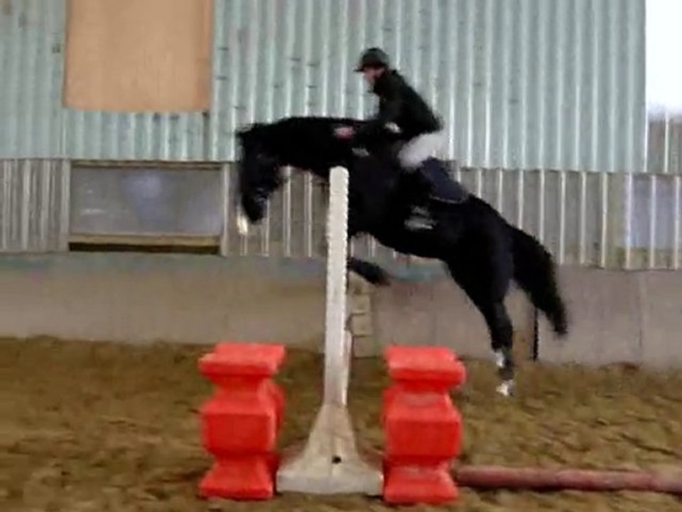 malia 19 janvier 2010