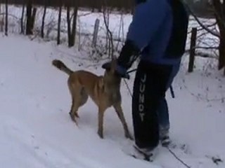 Entrainement Banzai 09/01/2010