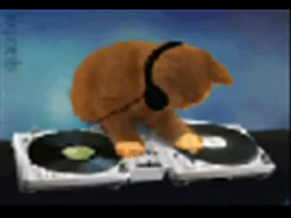 555_555_çılgın kediler