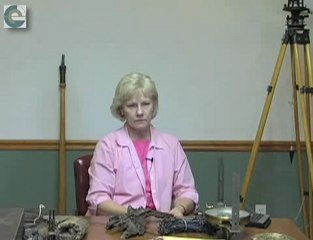 Nedra Foster's view on surveyors role in GIS