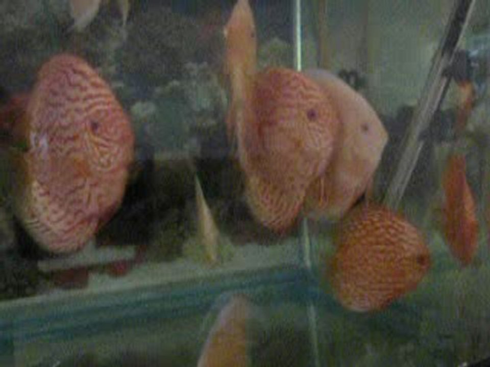 DSCN1283