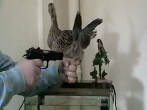 KaradenizLi Kuşu Nasıl Eğitir.. :)