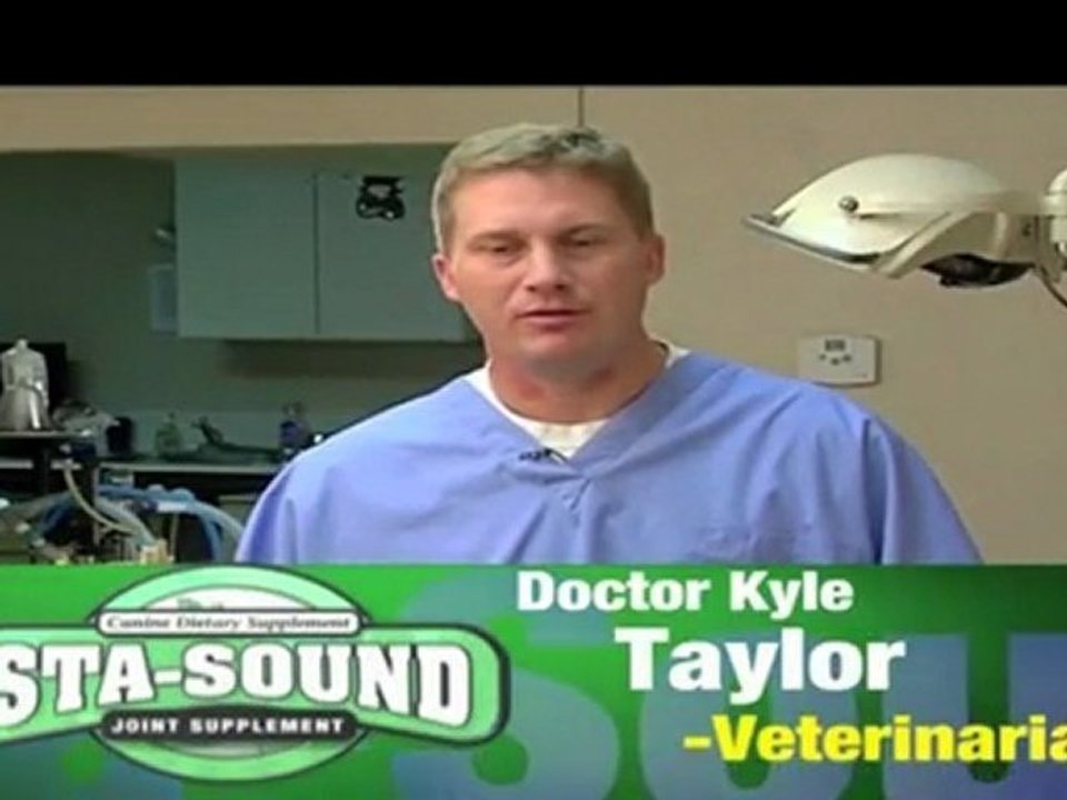 Veterinarian Advice For Canine Arthritis | Dog Pain Relief