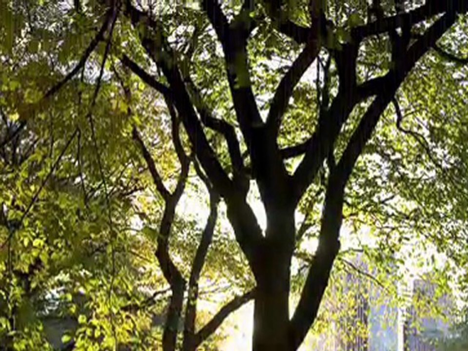 Real Estate Marketing NY Construction Marketing NY Law Firm