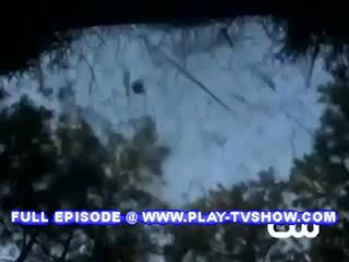 The Vampire Diaries Season 1 Episode 11 S01E11 "Bloodlines"