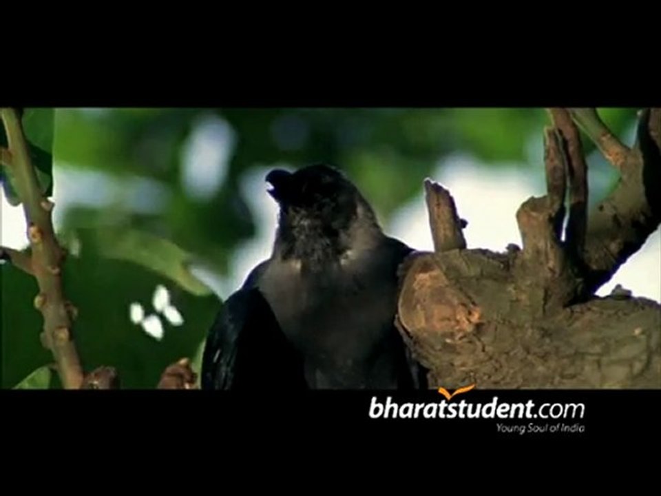 Aavaham (Phoonk2) Telugu Movie Trailer