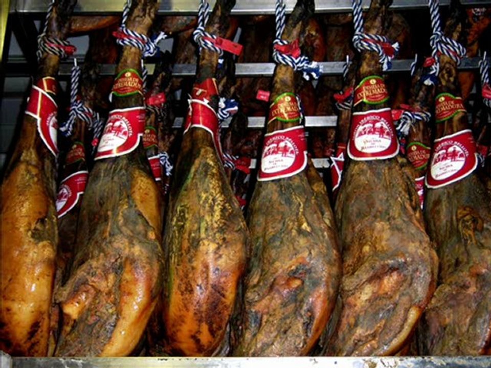 iunjamon.com