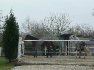 Heidi & Richesse tarées ! Partie 2