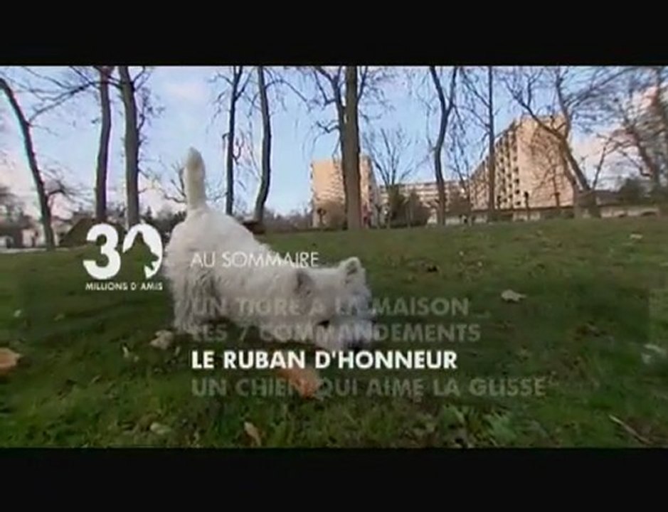 Sommaire émission 30 Millions d'Amis du 24 01 2010