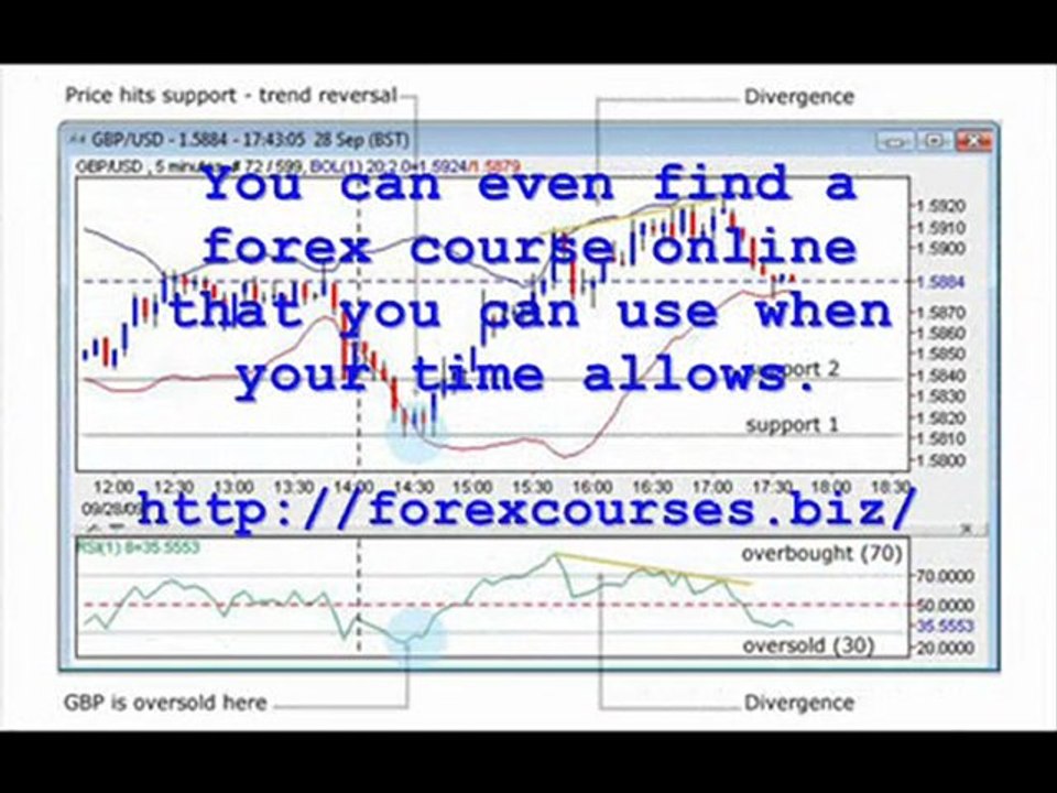 Forex Courses