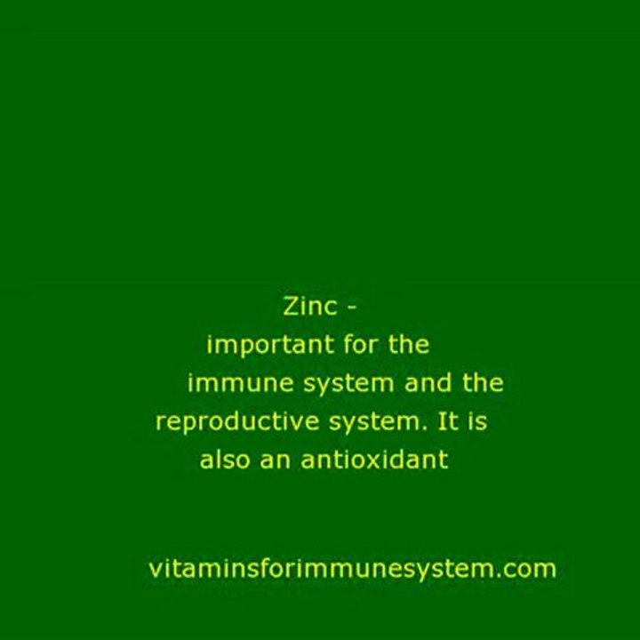 Vitamins For Immune System 6