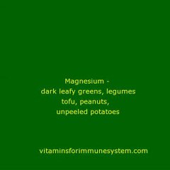 Vitamins For Immune System 7