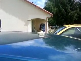 Sono verte hey mami