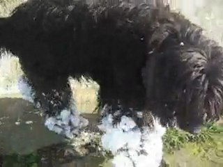 makinnen en la nieve