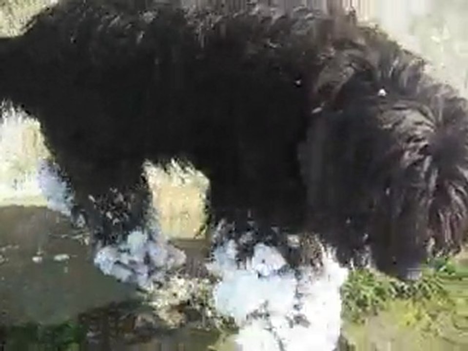 makinnen en la nieve