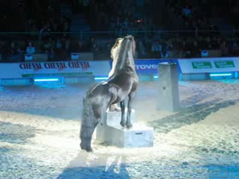 Frédéric Pignon aux crinières d'or (CHEVAL PASSION 2010)