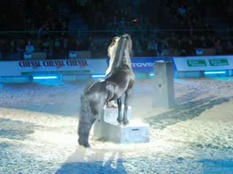 Frédéric Pignon aux crinières d'or (CHEVAL PASSION 2010)