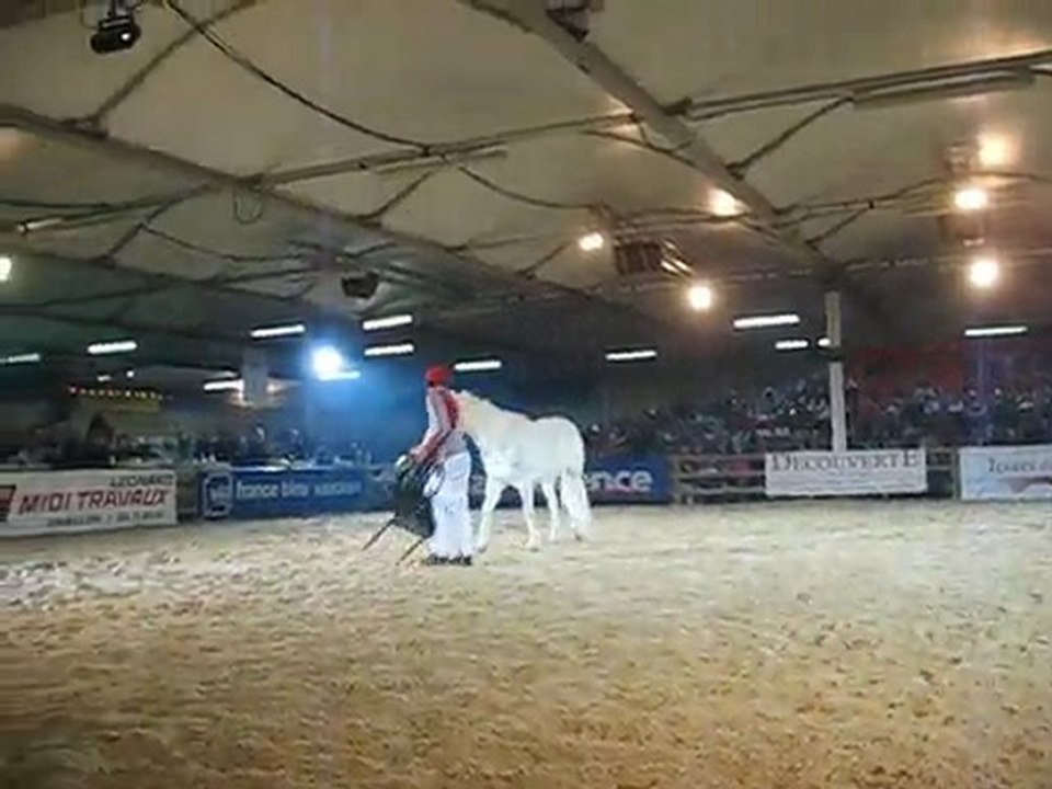 LAURENT GALINIER