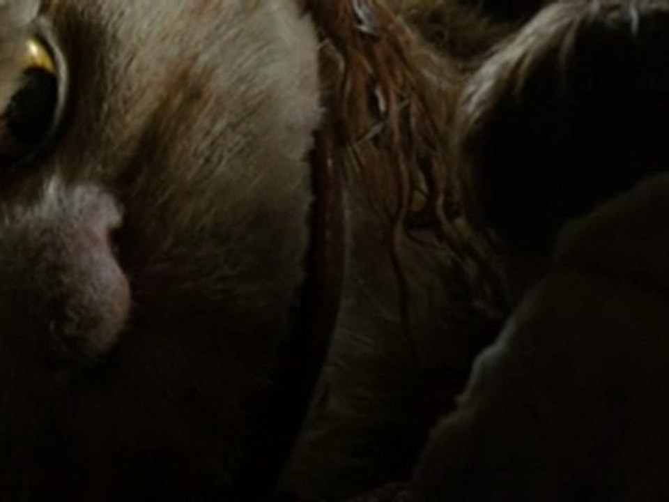 Where the Wild Things Are - Clip What's Your Story