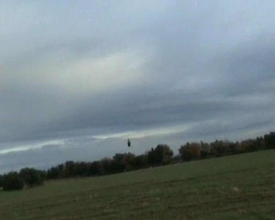Flips en T450 PRO