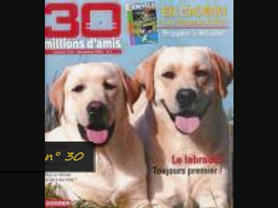 Blind Test n° 2 - Thèmes de Films