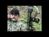 Buy Compound Bow