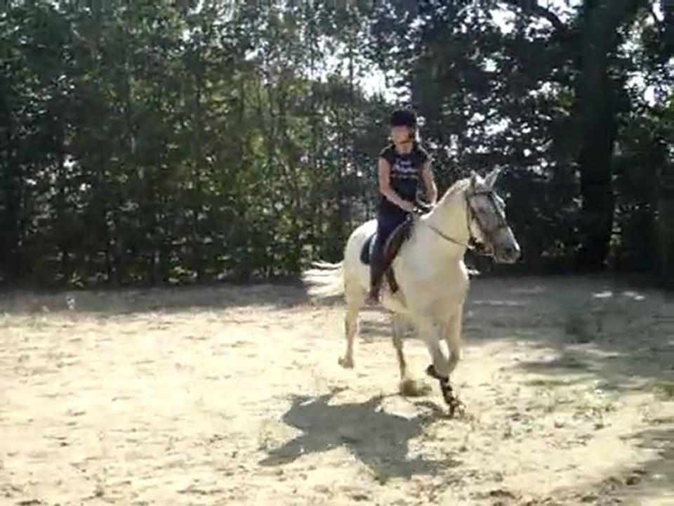 Mon cheval ma vie