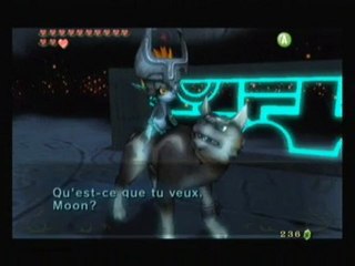 Zelda Twilight Princess [56] "Temple du crepuscule"