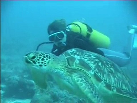 Plongée aux Maldives