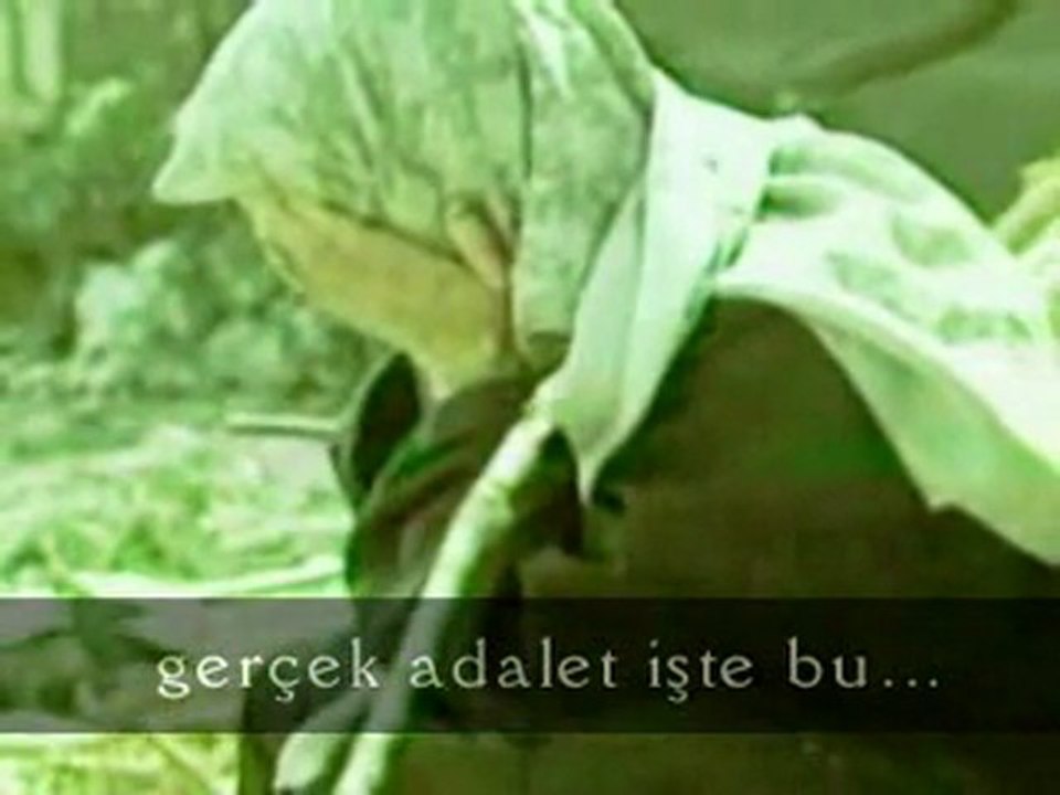 KABİRDEN MEKTUP VAR-3