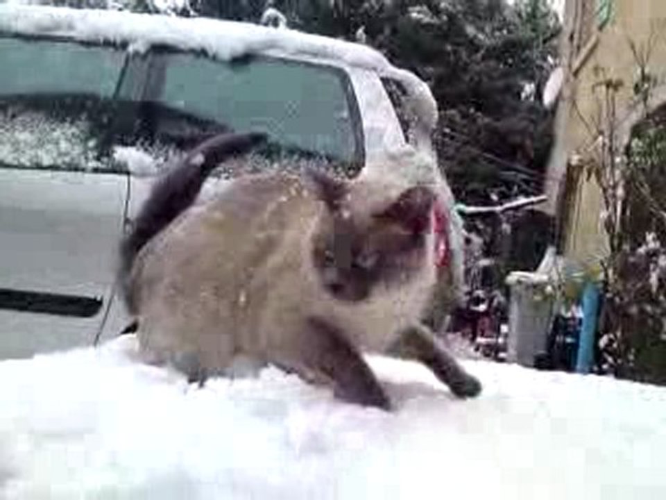 gandja découvre la neige