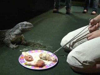 Cape Fear Serpentarium Wilmington Attractions 3-1