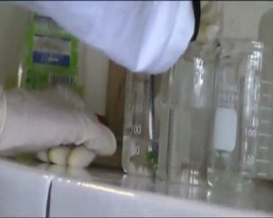 TPE Expérience In Vitro