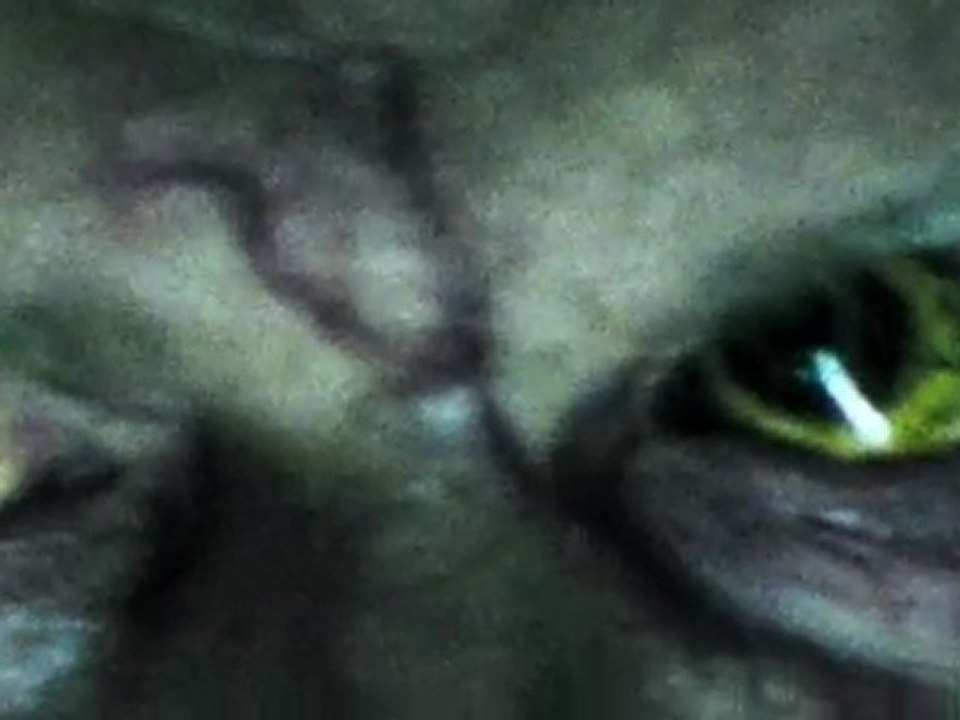 The Crazies - #3 Trailer